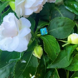 Piercing earring. .925 silver and dark blue opal